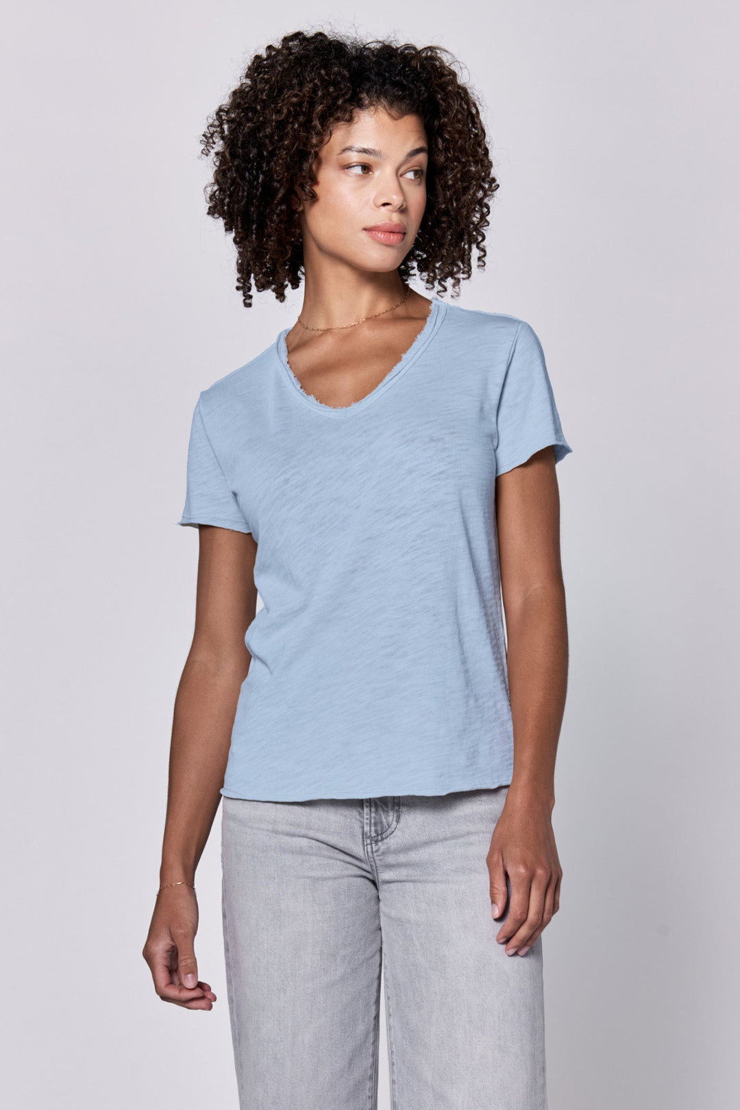 vanya-v-neck-short-sleeve-slub-jersey-top-skyway