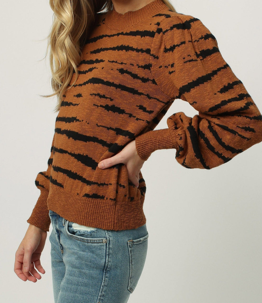 image of a female model wearing a JASMINE LONG SLEEVE SWEATER TIGER DEAR JOHN DENIM 